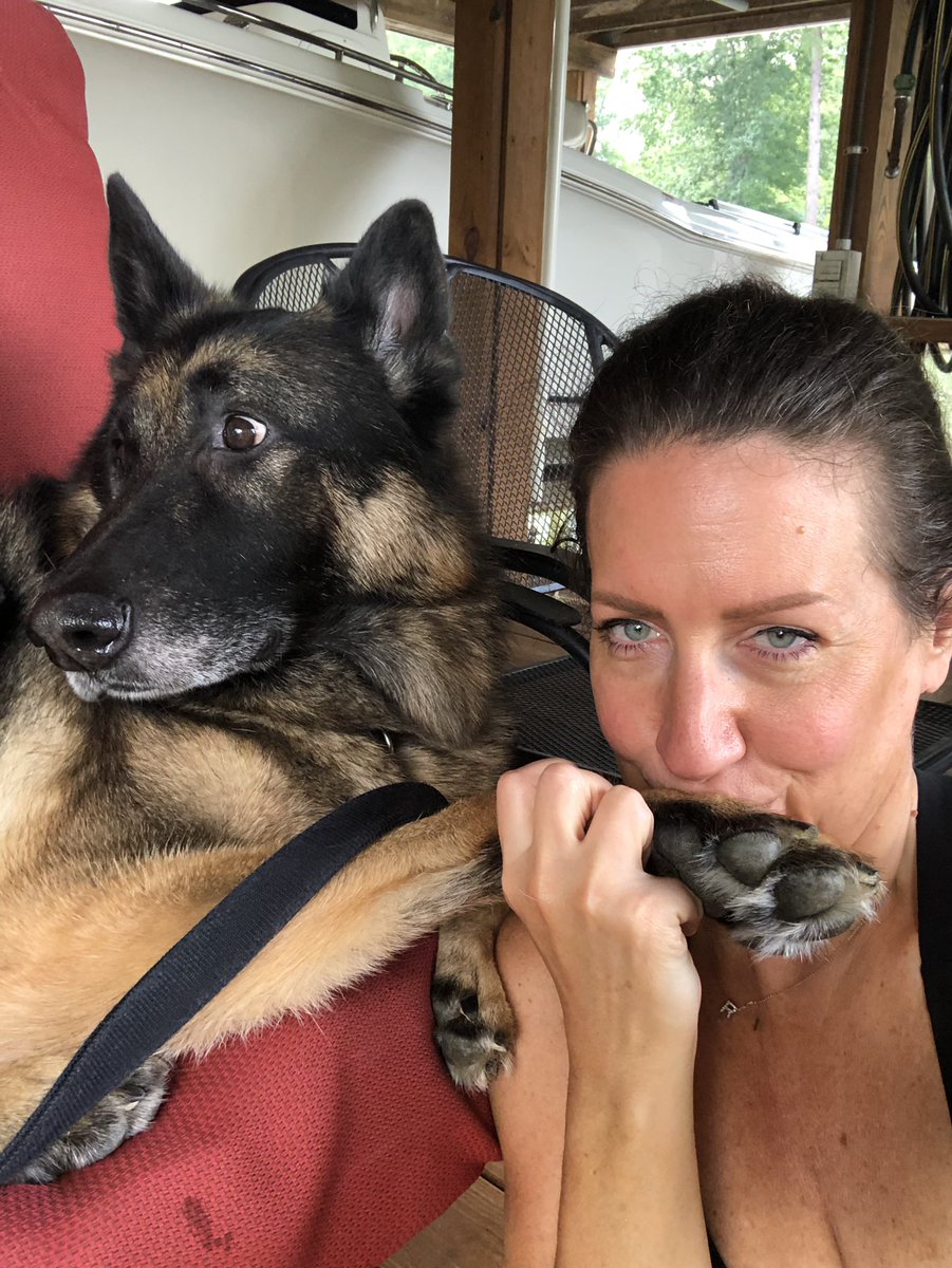 Lynnboo4's tweet photo. Rin: “NOW SHE KISSIN’ MY FEET!!” #kissingdogs #kissme #dog #dogsoftwitter #mydog #germanshepherd #lovedogs #doggo #mydogiscutest #lakehouse #lakegaston #vacationmode #doglovers #RescueDogs https://t.co/xGJGXyeGCD