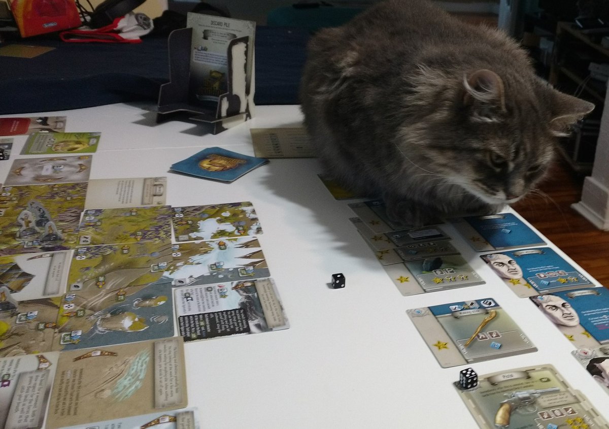 Getting my game face on!
#flyyoufools #catadvice #gamenight #idonthaveanycardsthatwillhelp #7thcontinent