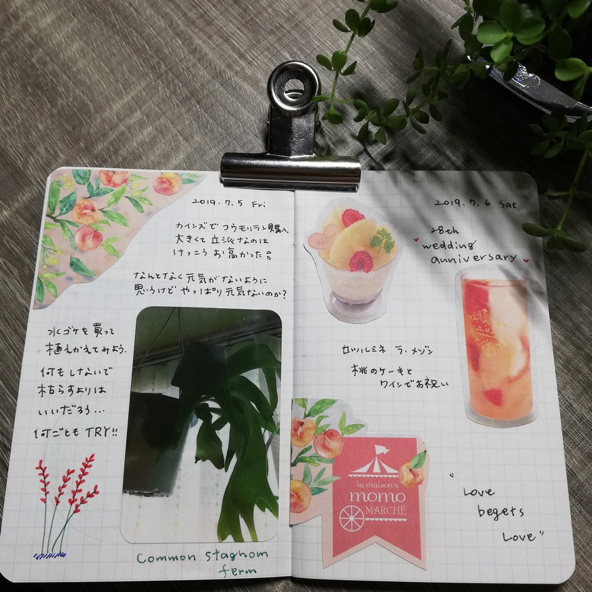 小さなノートのある暮らし Twitter Search