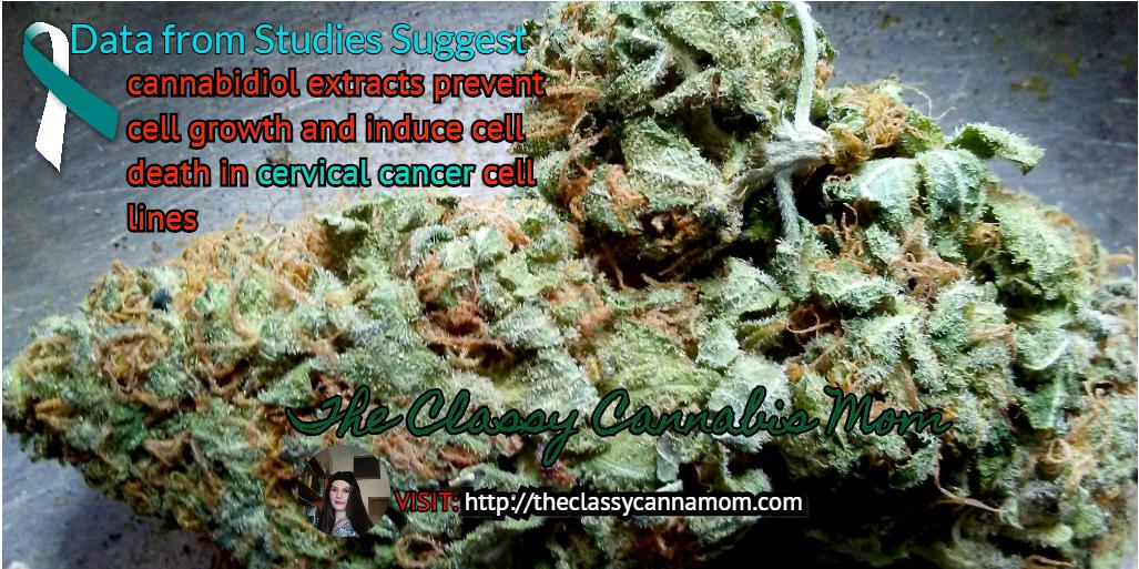 CannabisClassy's tweet photo. Study of how Cannabis KILLS #CervicalCancer cells 
You can #Read here: 🌱 https://t.co/6DLAo7zCwm 🧐

#CannabisCommunity #medicalmarijuana #MedicalCannabis  #weedstagram #StonerLife #CannabisMedicinal #CBDlife #marijuananews #cancer #CannabisHeals  #weedlife #weedmaps #weedlover https://t.co/aG6dhh21rx