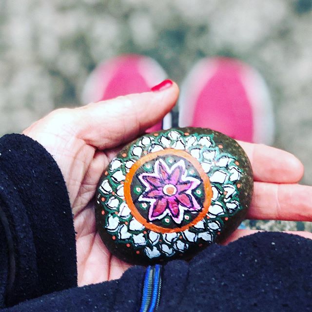 missfitts's tweet photo. Good morning #portland #randomactsofkindness #randomrocksofkindness #plantlove #randomactsofart ❤️💜🧡💚💙💗 https://t.co/dSHV4NWkj9