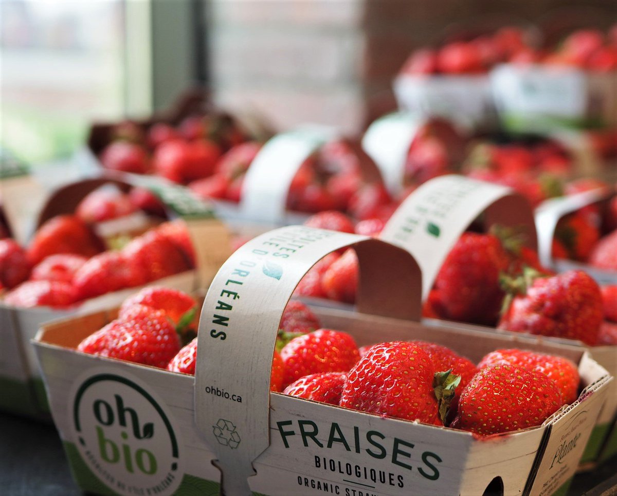 What's your favourite fruit to enjoy in the summer? ☀️  We're loving strawberries right now, especially when they're Certified Organic! 🍓🍓🍓 #HealthyFoodforLess #ProducePicks