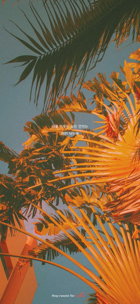 BTSorbit's tweet photo. 🏝️ @BTS_twt https://t.co/SmbpMNjTXn