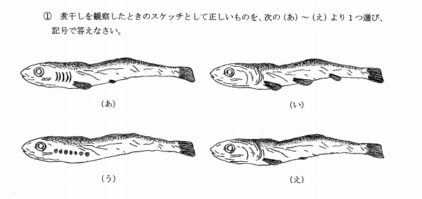 日本の淡水魚にどうやって関心をもってもらう？ WWFスタッフが惚れた博物画家・小村一也の描く「命の色」｜記事カテゴリ｜BuNa - Bun-ichi  Nature Web Magazine ｜文一総合出版