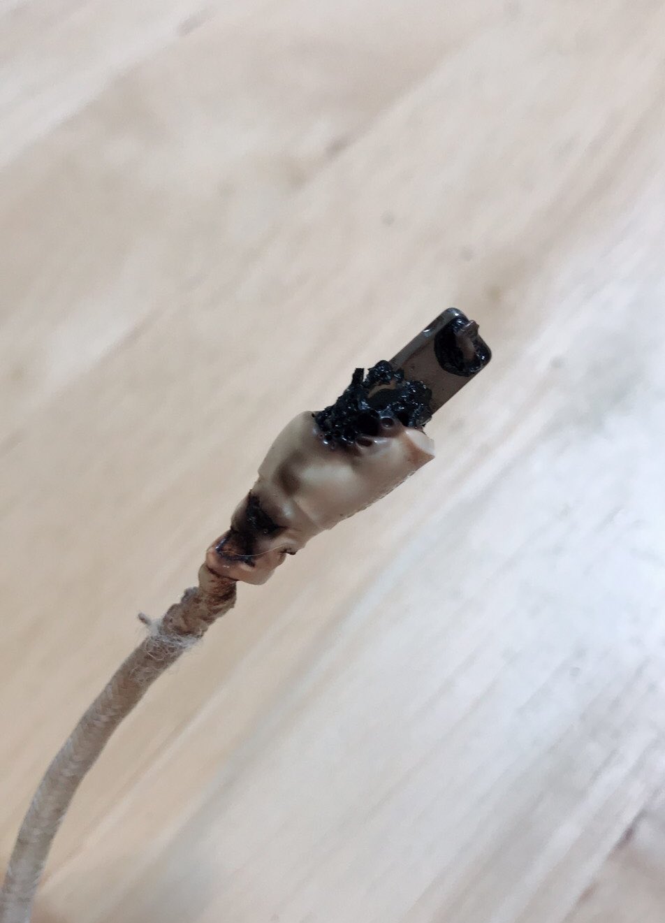 元気先生 帰ってきたらiphoneの充電ケーブルが 原因考えてみる 犬におしっこをかけられてショートした 匂いはしない 猫がかじってショートした 噛み跡みたいなものもなさそう 使っているうちにねじれが入ってショートした でも12vでここまで