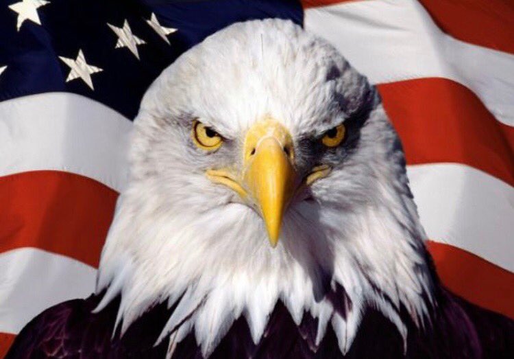 New York’s Finest Football tweet media