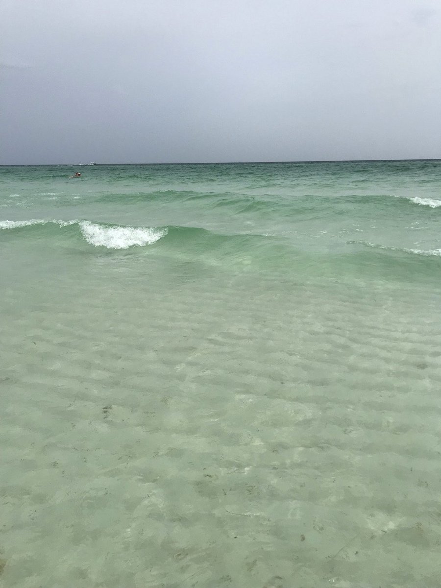 JuneGrassReport's tweet photo. Miramar Beach https://t.co/5vOUVP9pax https://t.co/zM7nhqzuKT