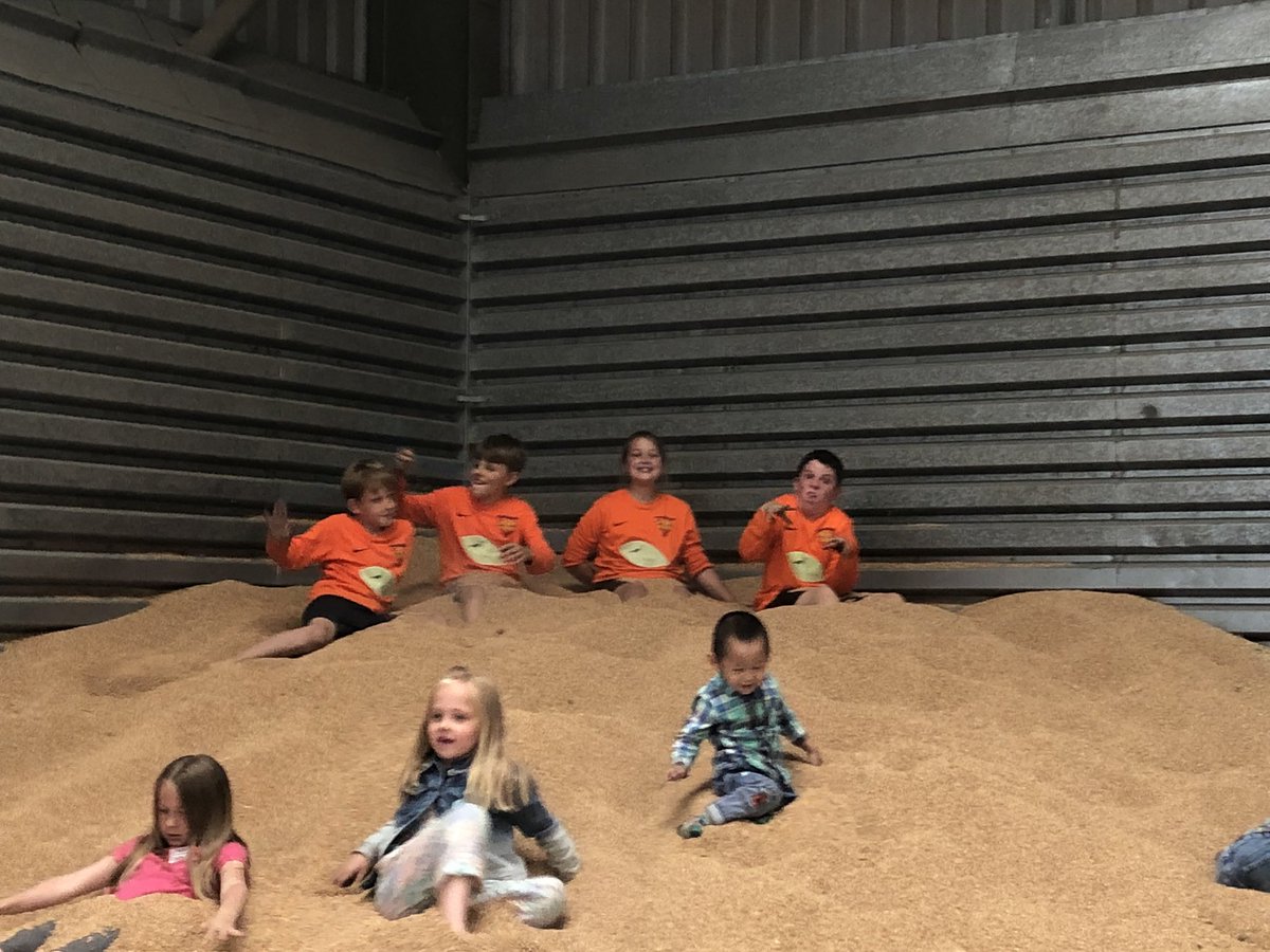 thewoodsey77's tweet photo. Open Farm Sunday @_Blackbird_Farm. Some of the Under 11 Hurricanes showing of the kits that was sponsored. Lots and f fun. @StrikeForce_FC @LEAF_Farming https://t.co/gmQWwjyODN