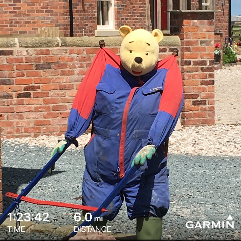 patsylou59's tweet photo. After a very boozy day at a wedding yesterday, today’s effort was very gentle #5kforcharity #twittersummerchallenge #teamnorth #northernstars🚀 https://t.co/95s190yGgt