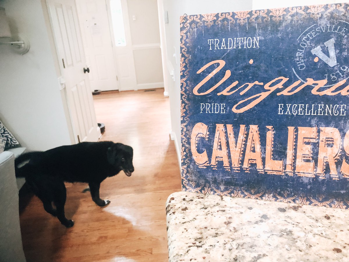 I have the BEST co-workers at <a href="/UVASON/">UVA School of Nursing</a>: <a href="/jesskeimmalpass/">Jess Keim-Malpass, PhD, APRN</a> just dropped off this fabulous <a href="/UVA/">UVA</a> swag and thoughtful cards for the whole family. 

Thank you, Jess - you rock! ♥️