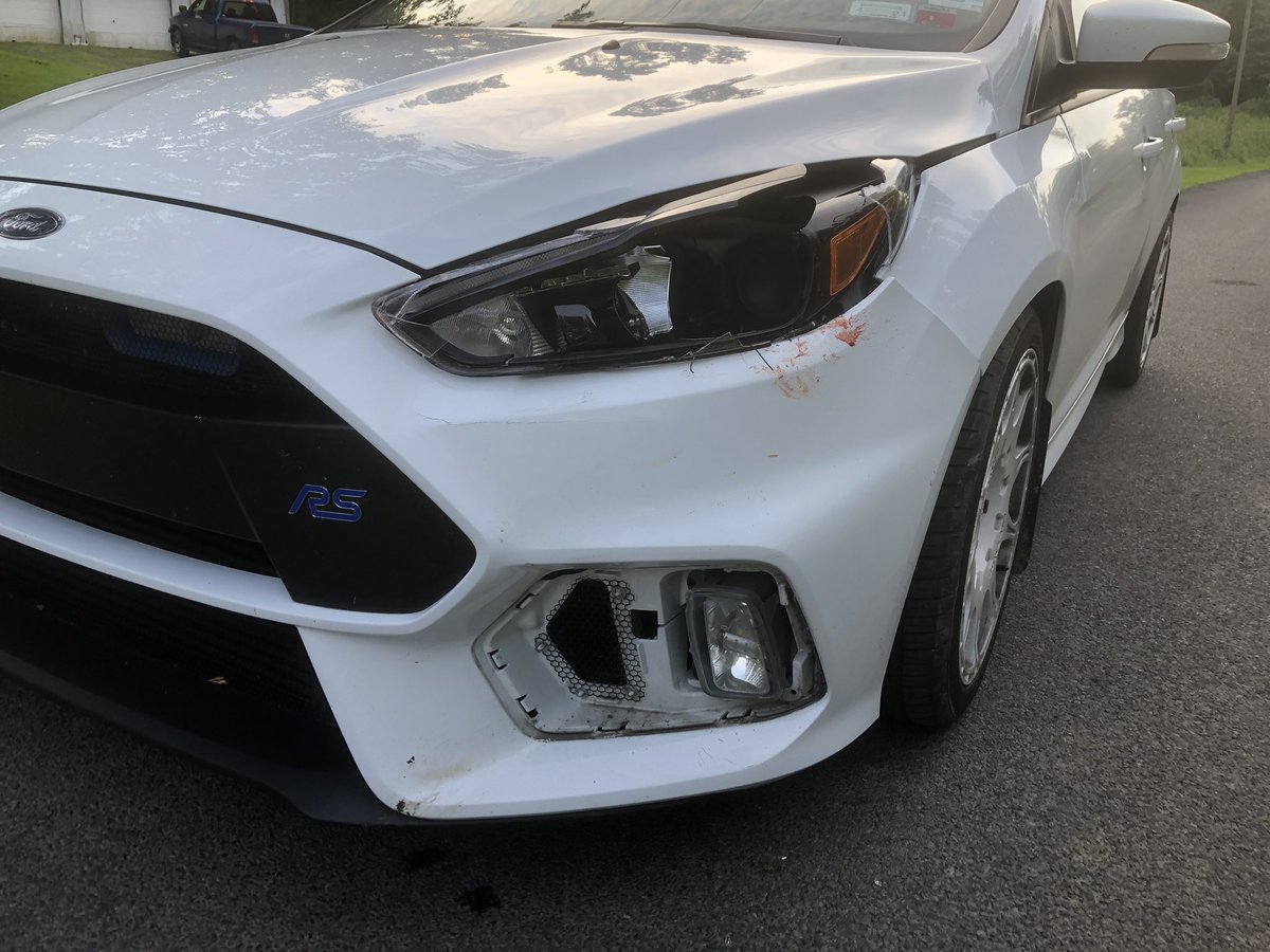 Not a good day. Collision with a deer.