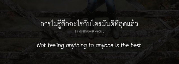 moo tweet media