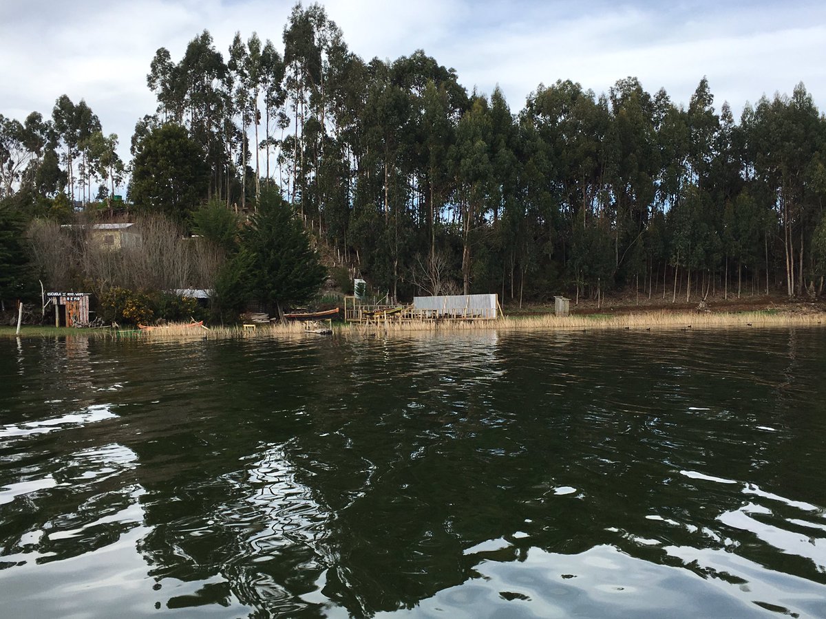 IslaLlepo's tweet photo. @IslaLlepo #museo familias en el corazón del budi 💙💧💦 https://t.co/he83ZPP0wi