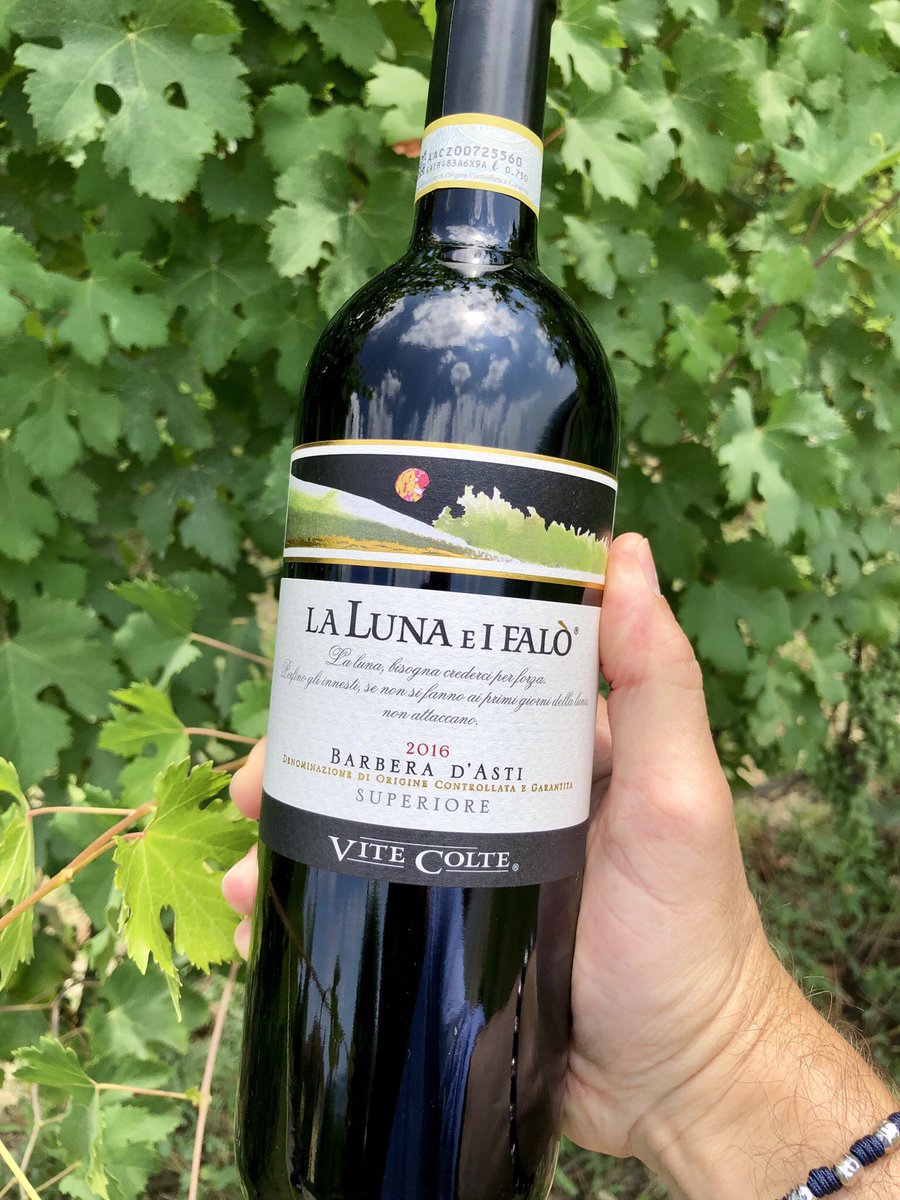 HansCaron's tweet photo. Strepitoso vino dedicato al romanzo più famoso di #CesarePavese | Book and #wine pairing
#Langhe #Barolo #ViteColte https://t.co/y6VdHwRE29