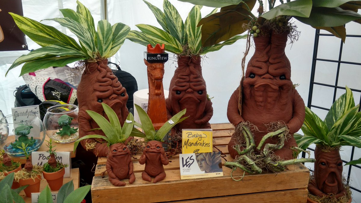 One of these things is not like the other. <a href="/KingViewMead/">KingView</a>  #KingViewMead #Mead #Adventures #LesPolinko #Mandrakes.