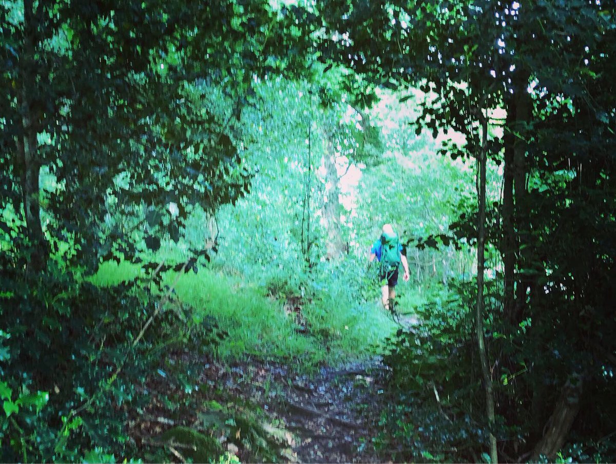 Vuelta a los #domingosdemontaña! #desconectarparaconectar #barcenamayor #lostojos #cantabria #cantabriaesverde #sajabesaya #cantabria