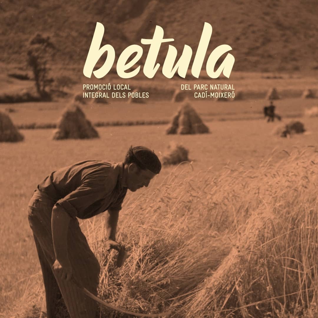 Comencen les trobades #Betula al #CadíMoixeró
10 juliol #GuardioladeBerguedà | 17 de juliol a #Gósol: 
Quins són els principals canvis que han patit els pobles del Cadí en el darrer segle?Com podem fer-hi front?
Primer tast i presentació del projecte a: 
ja.cat/m1uUx