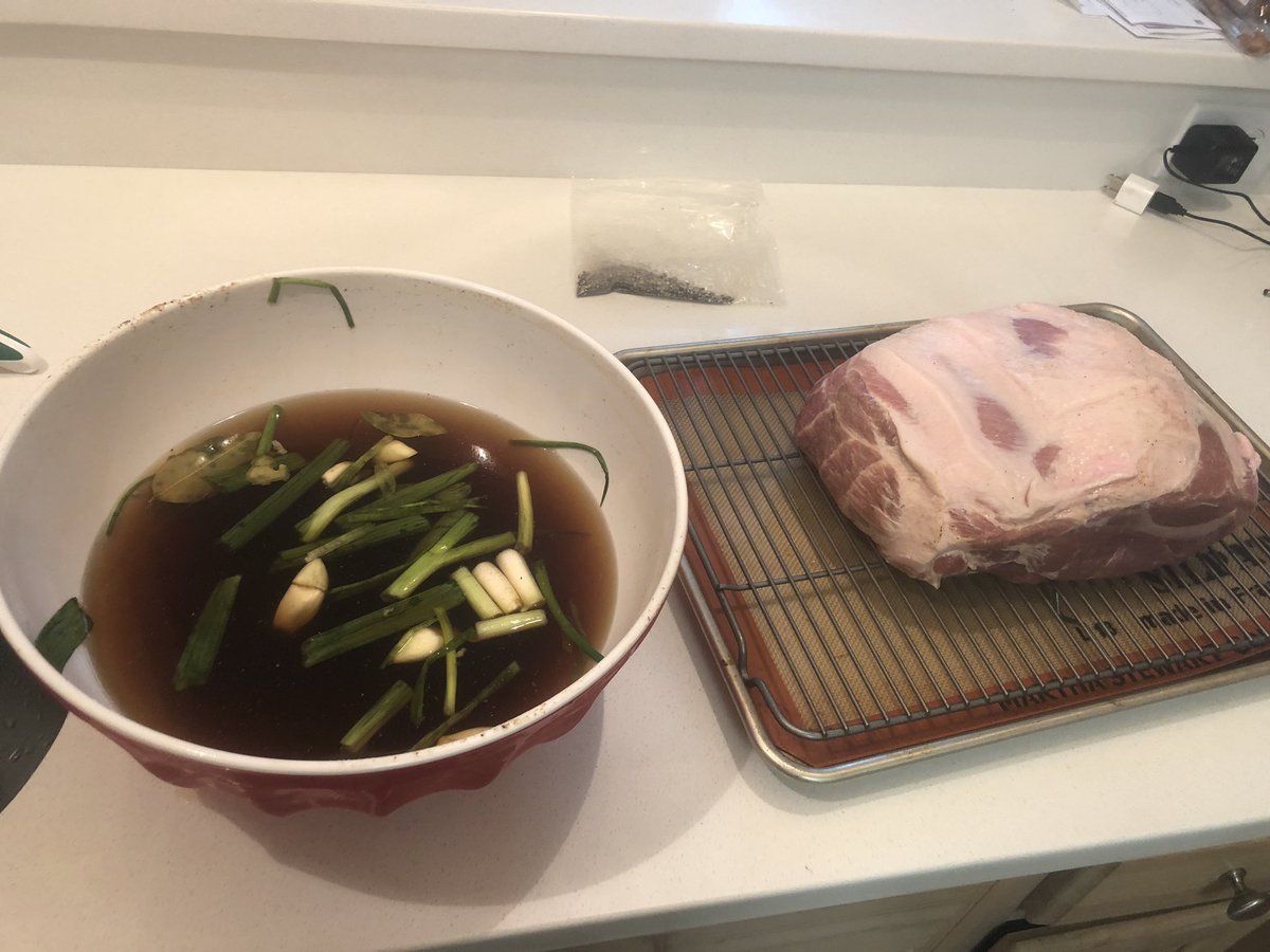 terradactlerarr's tweet photo. My first brined pork butt!!! Throwing it on the smoker - let’s see how this turns out 🤷🏼‍♀️ #pork #smoker #traeger #weekendsmoke https://t.co/WkIHMHPqXW