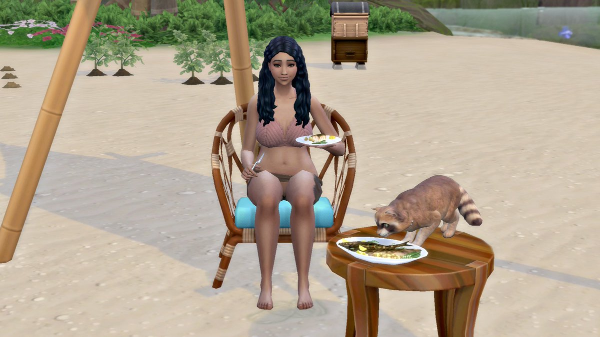 SimsByFairy's tweet image. Things are definitely going better in this second round of #OffTheGridChallenge . Antonia is doing good even though life right now is NOT what she expected when she left her old life as a model. But at least she&apos;s alive, and so is Coco. And now they also have bees and food!