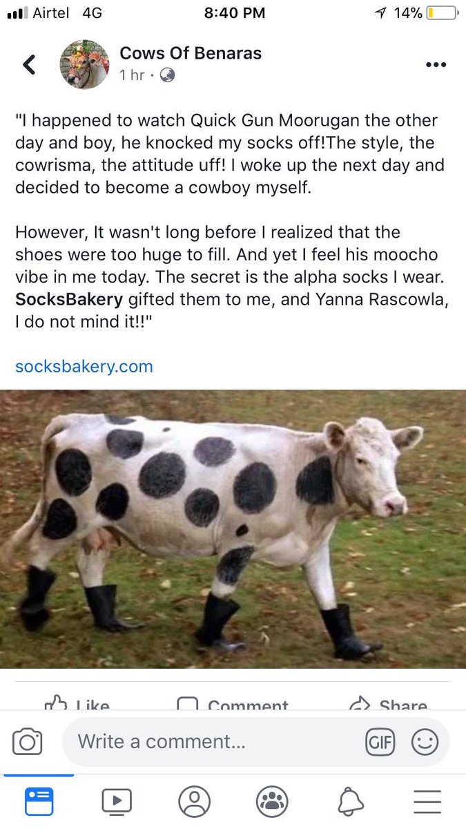 socksoho's tweet photo. When even cows flaunt socks ππ
#SocksBakery #FunnyPost #QuickgunMurugan #Cowspiracy https://t.co/idloppNO80