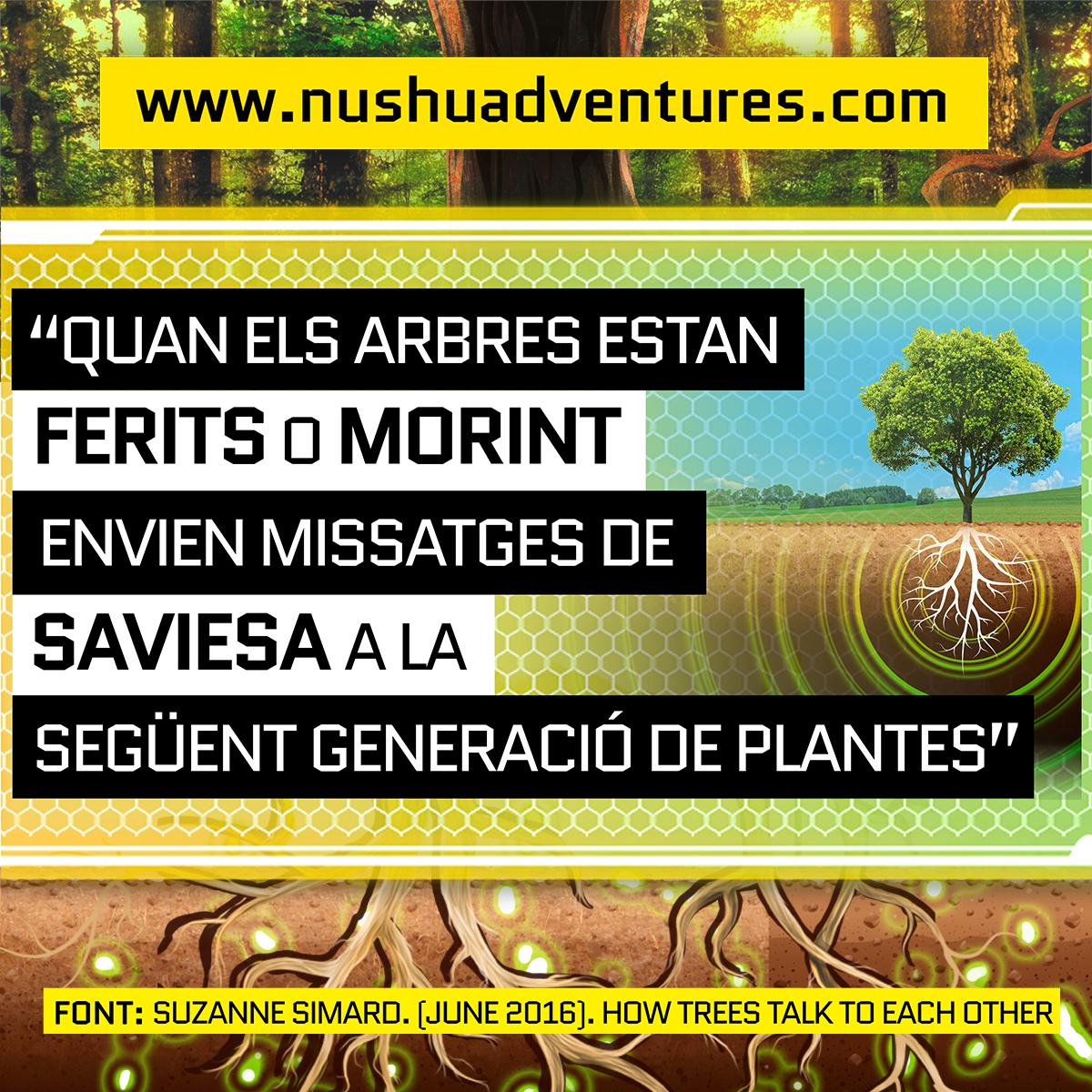 🚀Explora les diferents formes que tenen les plantes de comunicar-se i ajudar-se amb #NUSHU en la nova missió 'El llenguatge de les plantes'. És 🎉gratis🎉 fins al dia 10 a 👉 nushuadventures.com #edtech #educaciómediàtica #realitataugmentada #comunicació #plantes