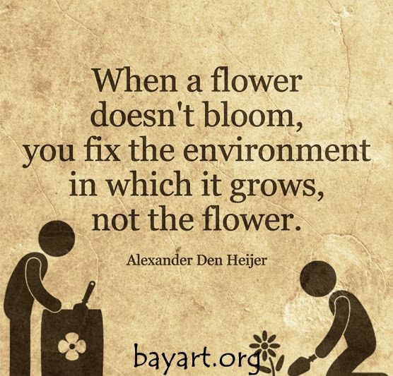 When a flower doesn't bloom, you fix the environment in which it grows, not the flower. 
#reputationintelligence #innovation @pgockley #eliminatebullying  #EndBullying  #PeopleSkills #Workplace #Schools  #Leadership #LeadMorale via @reputationlearn