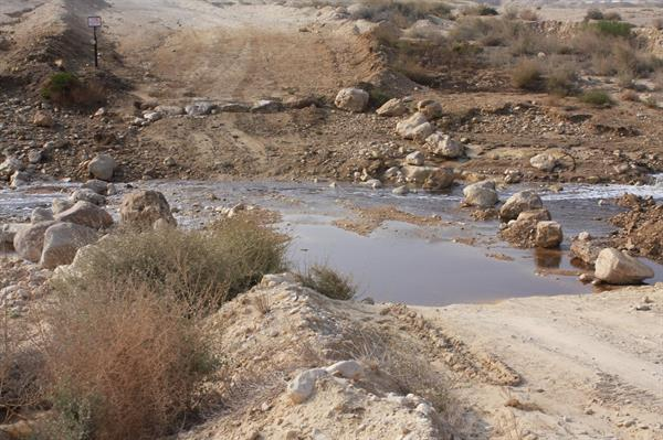 Zalul | צלול tweet media