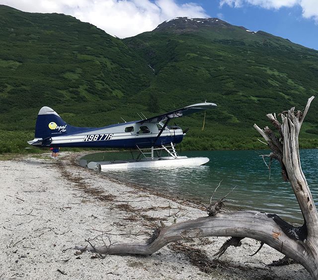 floatplanes's tweet photo. A stop at the beach, after looking at Denali glaciers is always a fun time.
.
.
.
.
.
.
#aviation #aviationlovers #aviationgeek #aviationdaily #aviationlife #avgeek #aviationgeek #aviation4u #instagramaviation #igplane #planespotting #planepics #planelo… https://t.co/fOvfHKlKJJ https://t.co/FuBKKmyurl