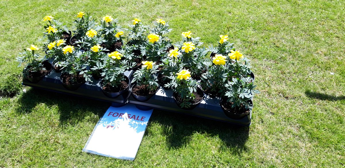 Brilliant afternoon helping out at 'Day of the Honey Bee'!
Fantastic family fun day at Belleisle Conservatory, a brilliant local community open space! 🐝🌼🌷🌺
#ItsWhatWeDo