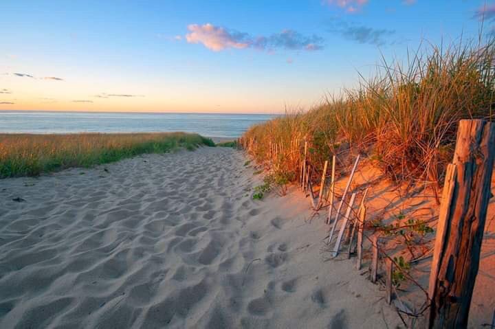 chernorris's tweet image. 📷  Beautiful sunsets   🌇 🌅 In Bermuda 🇧🇲 🌅🌊 ♥️#SundaySunsets with @always5star @RoarLoudTravel @_sundaysunsets_ @SuburbanMen @GalsWander @Sostraveluk @RickGriffin @miliman12photos @MyVirtualVaca @suziday123 @LoriMoreno @SashaEats #HappySunday to all ! 🍾🥂 #SundaySunsets