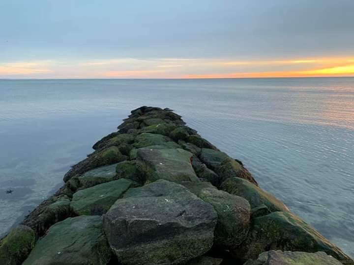 chernorris's tweet image. 📷  Beautiful sunsets   🌇 🌅 In Bermuda 🇧🇲 🌅🌊 ♥️#SundaySunsets with @always5star @RoarLoudTravel @_sundaysunsets_ @SuburbanMen @GalsWander @Sostraveluk @RickGriffin @miliman12photos @MyVirtualVaca @suziday123 @LoriMoreno @SashaEats #HappySunday to all ! 🍾🥂 #SundaySunsets