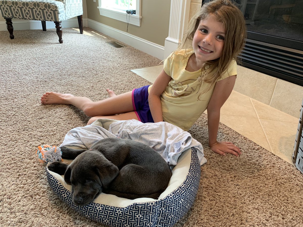 Attention all 8U Softball Coaches: This is why you do not promise your catcher that their dad will buy them a puppy if they catch a foul ball! Or based on the joy it has brought her, maybe it’s exactly why you do. Thanks <a href="/frankpilato81/">𝕱𝖗𝖆𝖓𝖐 𝕻𝖎𝖑𝖆𝖙𝖔</a> #bestworstdecisionever