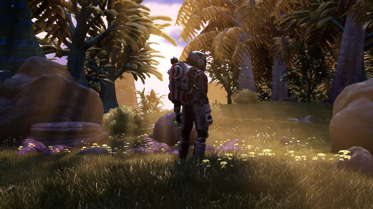 NMS Flower power. r/nomanshigh