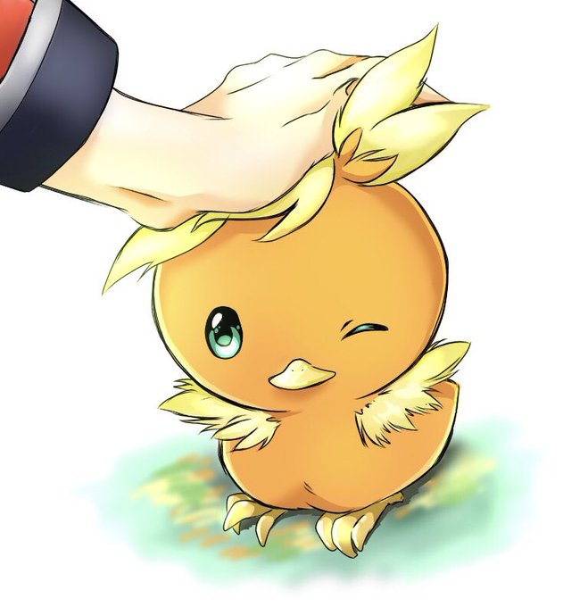 アチャモのtwitterイラスト検索結果 古い順 アチャモのtwitterイラスト検索結果 古い順