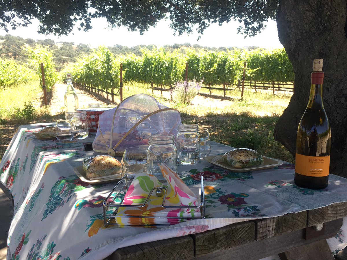 Happy Sunday!👽🍇🍷  
#picnicinthevineyard
#martianvineyard #martianranchvineyard #summertime #grenacheblanc #picnicwine #biodynamicwine  #losalamoscalifornia