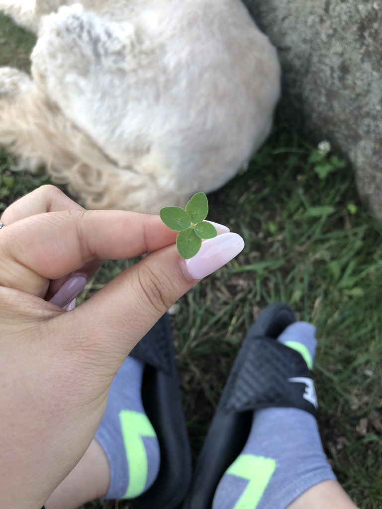 I’m so happy. Only took 18 years..