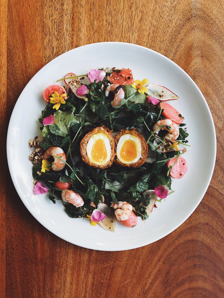 Deane House Restaurant & Garden (@deanehouseyyc) on Twitter photo Scotch egg, chorizo, side stripe shrimp, <a href="/deepwaterfarms/">Deepwater Farms</a> kale, pickled radish, chilli rhubarb vinaigrette.
#meetdeane for #brunch ~ #ininglewood. Scotch egg, chorizo, side stripe shrimp, <a href="/deepwaterfarms/">Deepwater Farms</a> kale, pickled radish, chilli rhubarb vinaigrette.
#meetdeane for #brunch ~ #ininglewood.