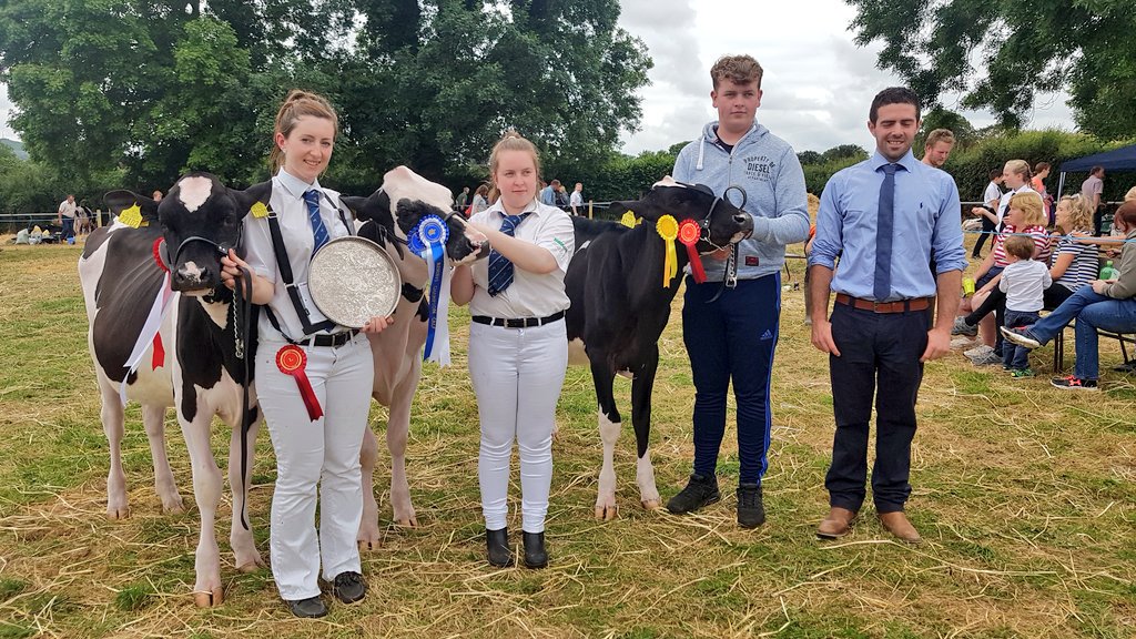 EmeraldHolstein's tweet photo. Frantastic!!!! 2 Frans, 2 firsts - champion and Hon Mention of the Limerick/Clare YMA calf show. #holstein #holsteincows #emeraldholsteins #cowsoftwitter #cows #babycow #showcow https://t.co/p6qpAsPNf1