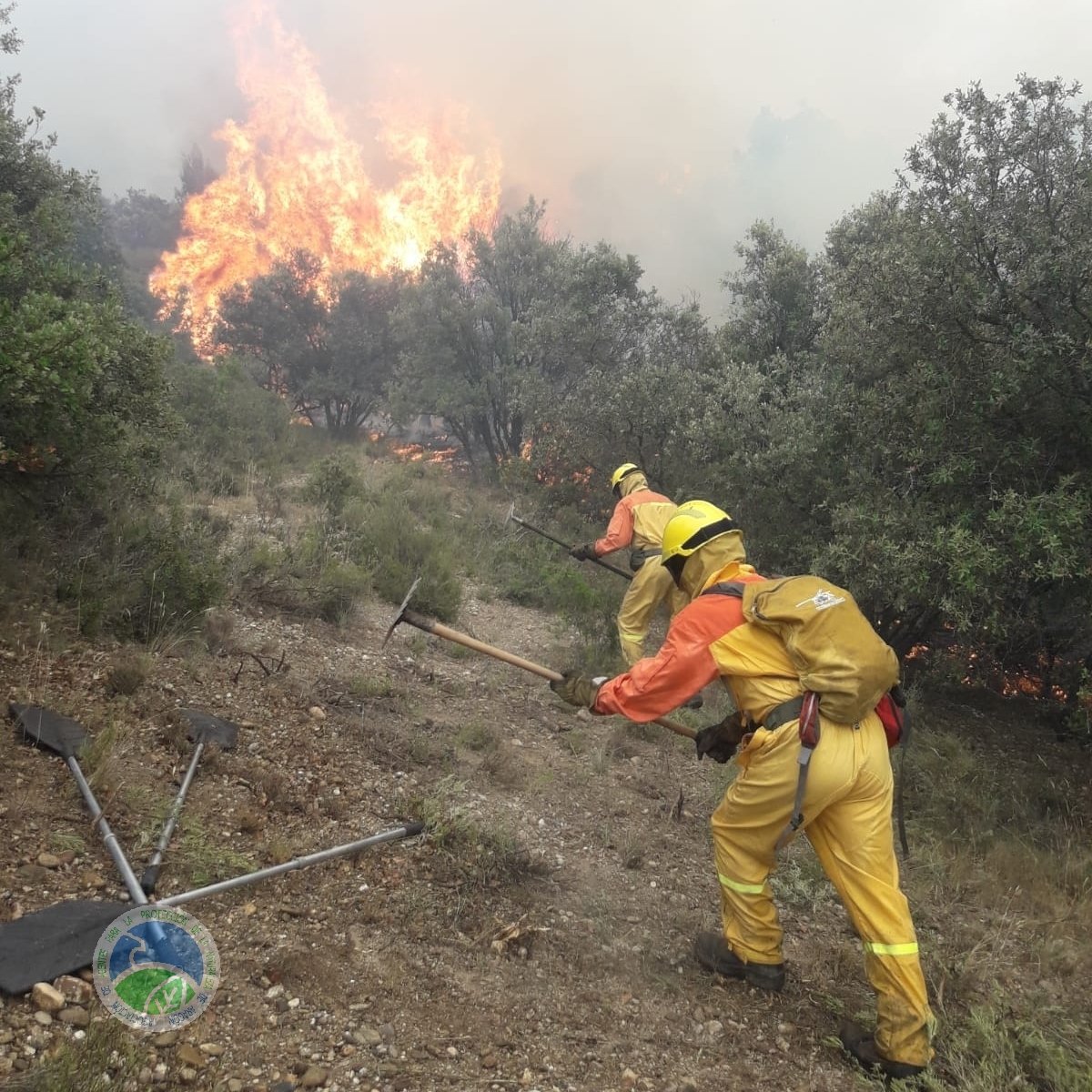 aaffaragon's tweet photo. Declarado #IFAlcampell (Hu), afecta a campos agrícolas y monte arbolado. Movilizado un amplio dispositivo de medios del @GobAragon ➕ @mapagob ➕ #bomberos https://t.co/nipWQVzVCh