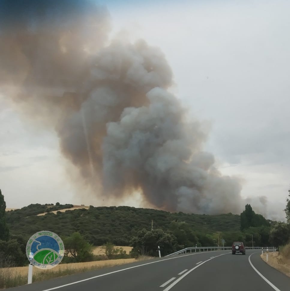 aaffaragon's tweet photo. Declarado #IFAlcampell (Hu), afecta a campos agrícolas y monte arbolado. Movilizado un amplio dispositivo de medios del @GobAragon ➕ @mapagob ➕ #bomberos https://t.co/nipWQVzVCh