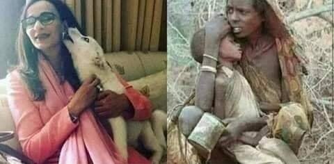 کسی کو تاجِ سلطانی - کسی کو ٹکڑے در در کے
خدایا تیری مرضی ہے جسے چاہے جدھر کر دے😪