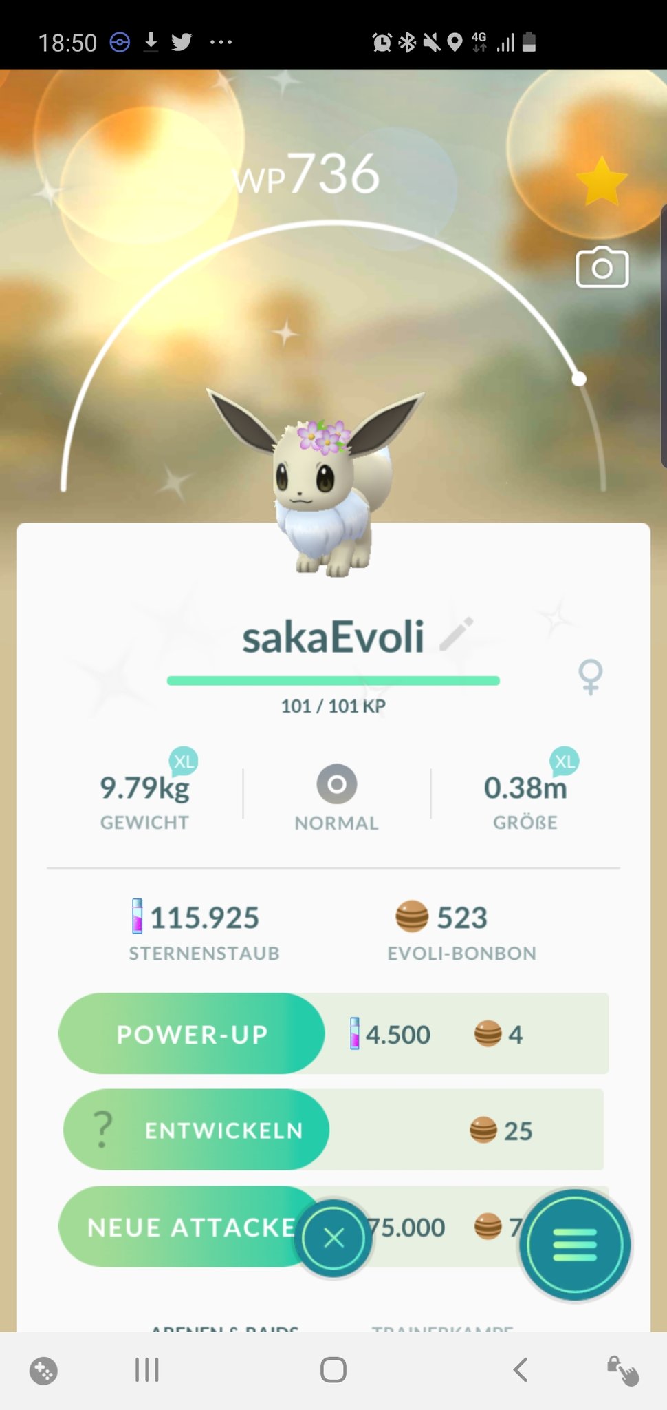 Sakati S Ar Twitter Weibliches Shiny Evoli Mit Blumen Auf Dem Kopf Sehr Sehr Selten Ausbeute War Top Weitere Infos Folgen Pokemongo Pokemon Eevee Shiny Twitch Twitchtv Nintendo Evoli T Co Vajbxpoguh