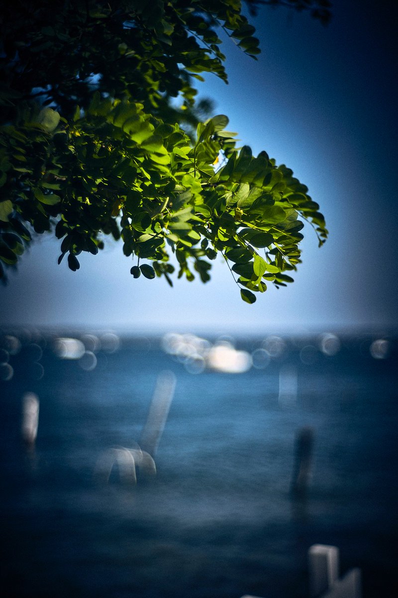 thierrylothon's tweet photo. La belle nostalgie des couleurs avec une pensée photographique à mes deux maitres de la couleur: Ernst Haas et surtout Fulvio Roiter ❤️
Photos prises avec un Jupiter3 50f1.5 monté sur Sony A7M2
#Jupiter50 #SonyA7M2 #CaptureOne12 #CapFerret 🎸🏄♂️👯♀️ https://t.co/AqQNLa8euY