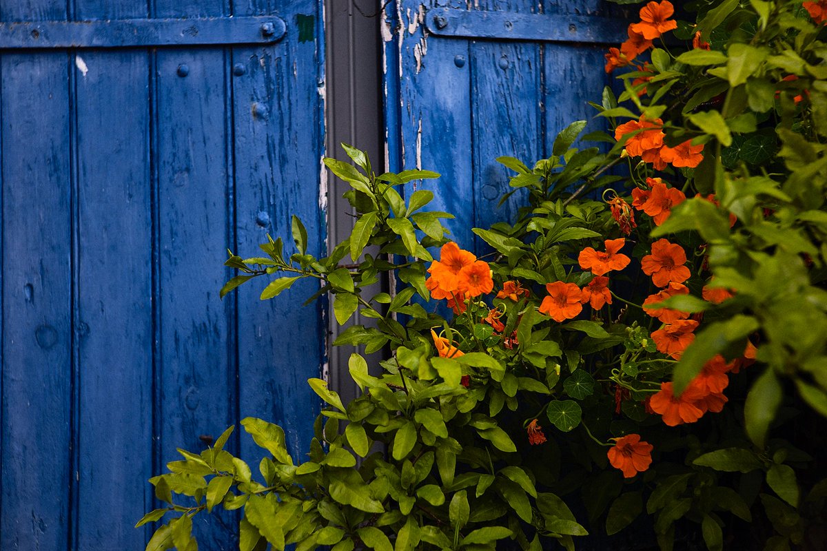 thierrylothon's tweet photo. La belle nostalgie des couleurs avec une pensée photographique à mes deux maitres de la couleur: Ernst Haas et surtout Fulvio Roiter ❤️
Photos prises avec un Jupiter3 50f1.5 monté sur Sony A7M2
#Jupiter50 #SonyA7M2 #CaptureOne12 #CapFerret 🎸🏄♂️👯♀️ https://t.co/AqQNLa8euY
