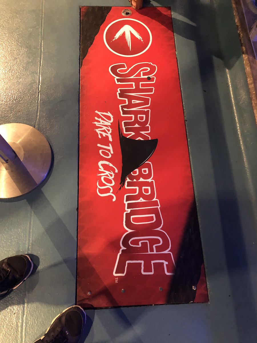 BuckeyeCoaster's tweet photo. Do you dare to cross the Shark Bridge? Hayden, Addison, and I are going to take the challenge. There are 13 sharks in this tank. #sharkbridge #newportaquarium #sharksummer https://t.co/rDrpR5b4Cw