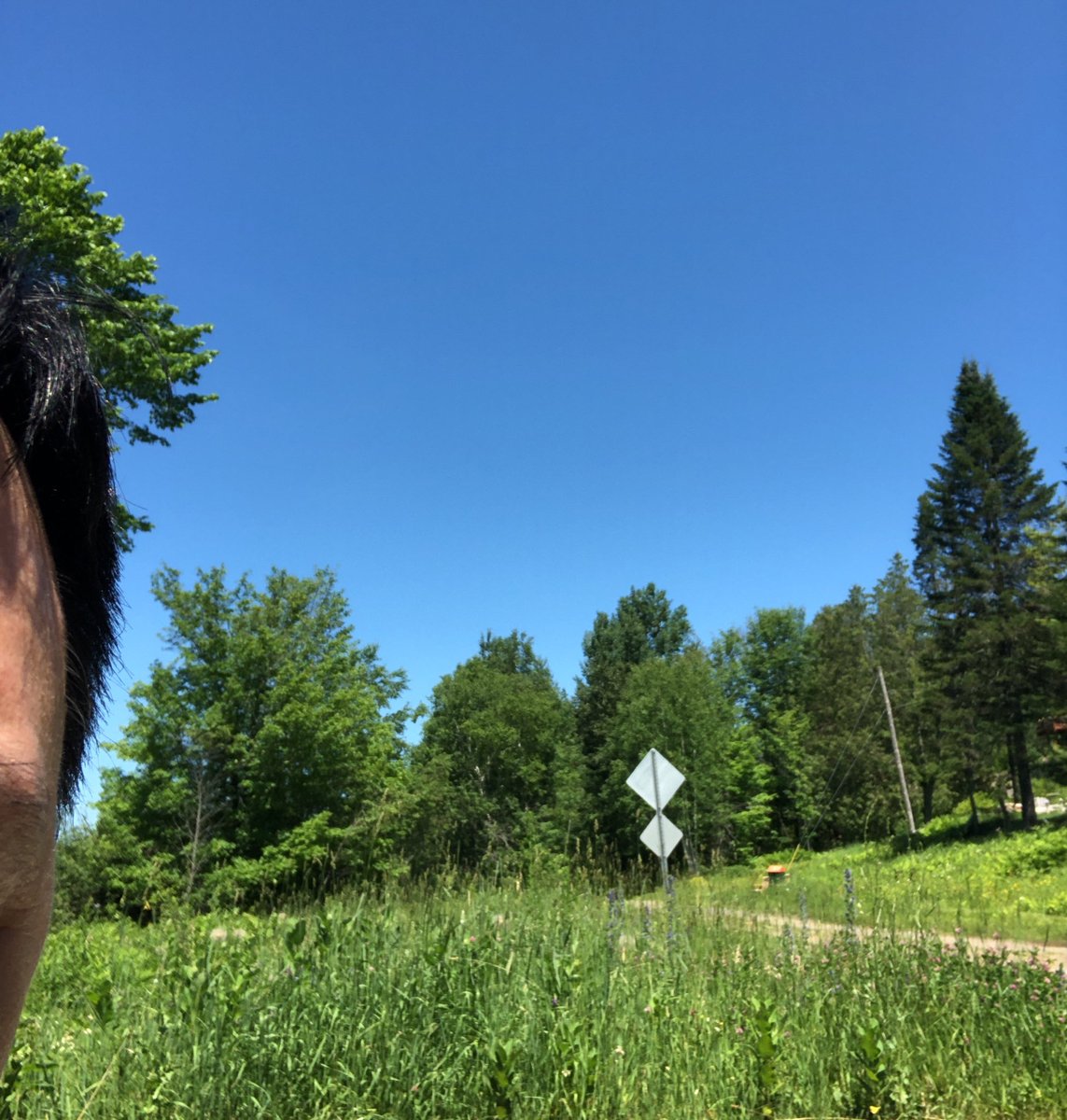 blockchainMario's tweet image. A sharing from KrowdX !