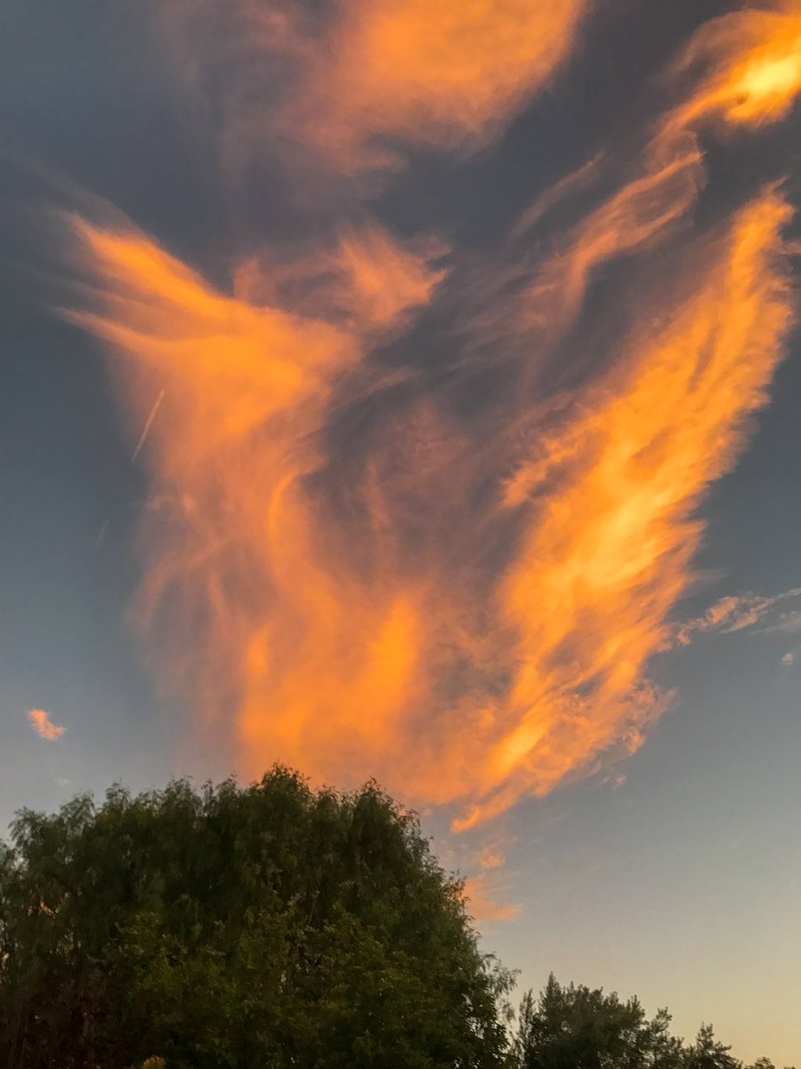 SuburbanMen's tweet image. I can’t tell if this reminds me more of a dragon or angel’s wings.  Either way it was a beautiful site.  ☁️👼🐉 @RoarLoudTravel @Always5Star @GalsWander @SuburbanMen @_SundaySunsets_ #SundaySunsets #Angels #dragon #clouds #sky #sunset