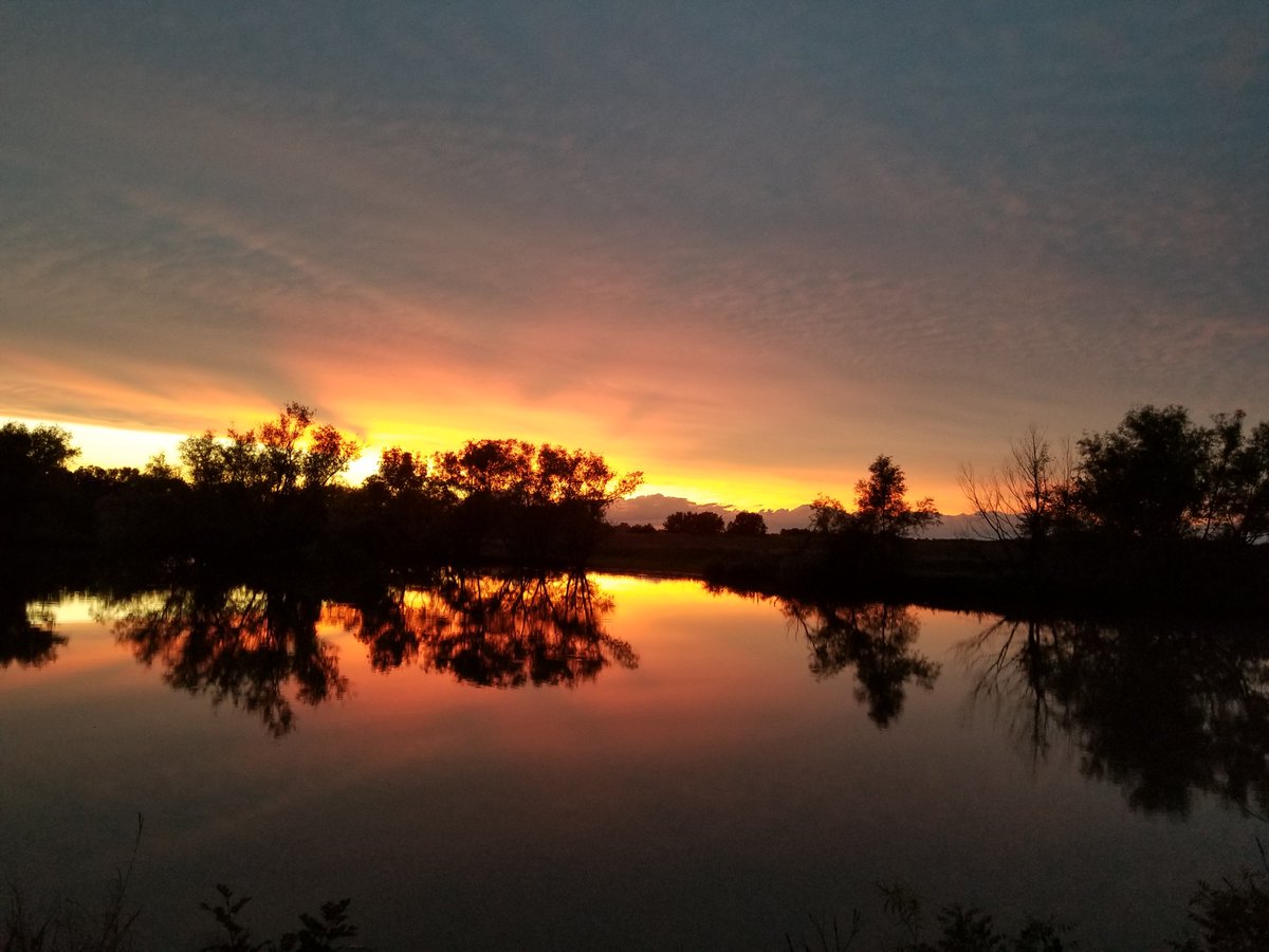 WorldEnlightend's tweet image. 