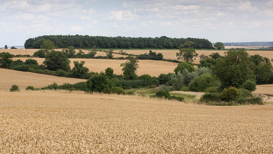 Read about how the proposed changes to capital gains and inheritance tax could influence your succession plans...
#BritishAgri via <a href="/FarmersWeekly/">Farmers Weekly</a> 
 ow.ly/USxn30p4xr3