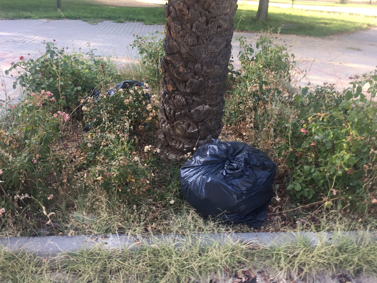 soniadelasheras's tweet photo. @aytogetafe todo Getafe está fatal de jardinería y limpieza,pero el parque cruce caminos del bercial es horrible. Que lo vea @LymaRedsocial https://t.co/B0BJAr8jLD